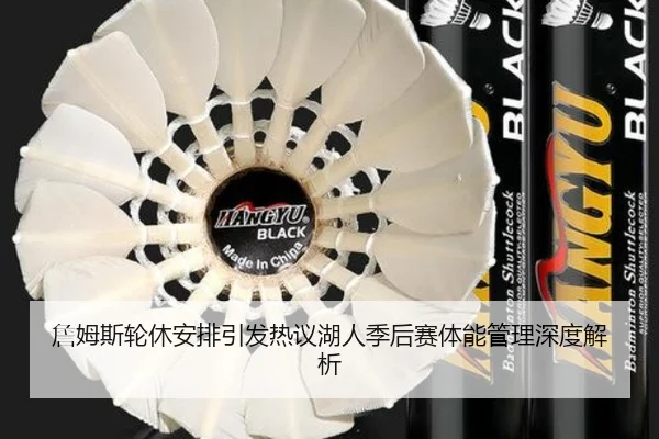 詹姆斯轮休安排引发热议湖人季后赛体能管理深度解析